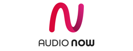 AUDIO NOW Logo small