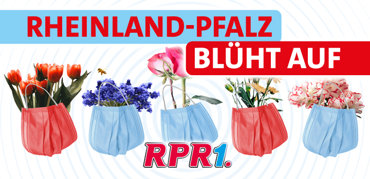 RPR1 RLP blueht auf