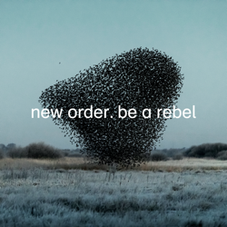 New Order Be A Rebel 250