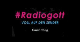Elmar Hoerig Radiogott fb2