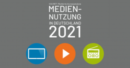 vaunet publikation mediennutzungsanalyse 2021 fb