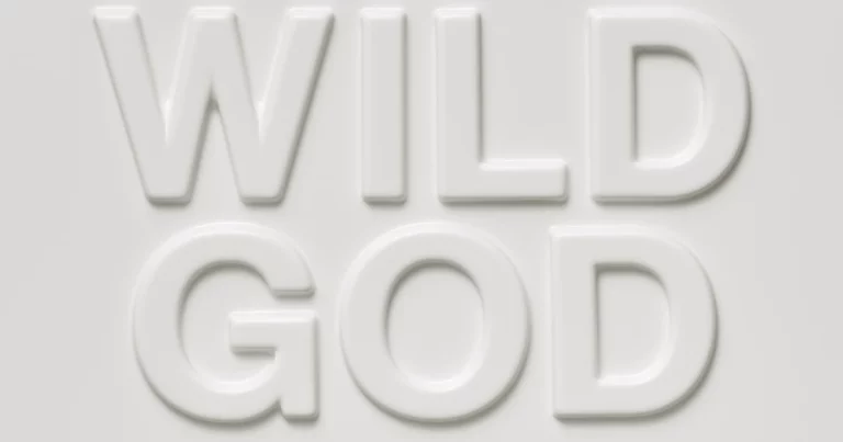 Nick Cave Wild God fb